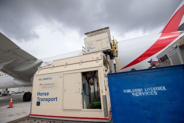 Emirates SkyCargo přepravil koně